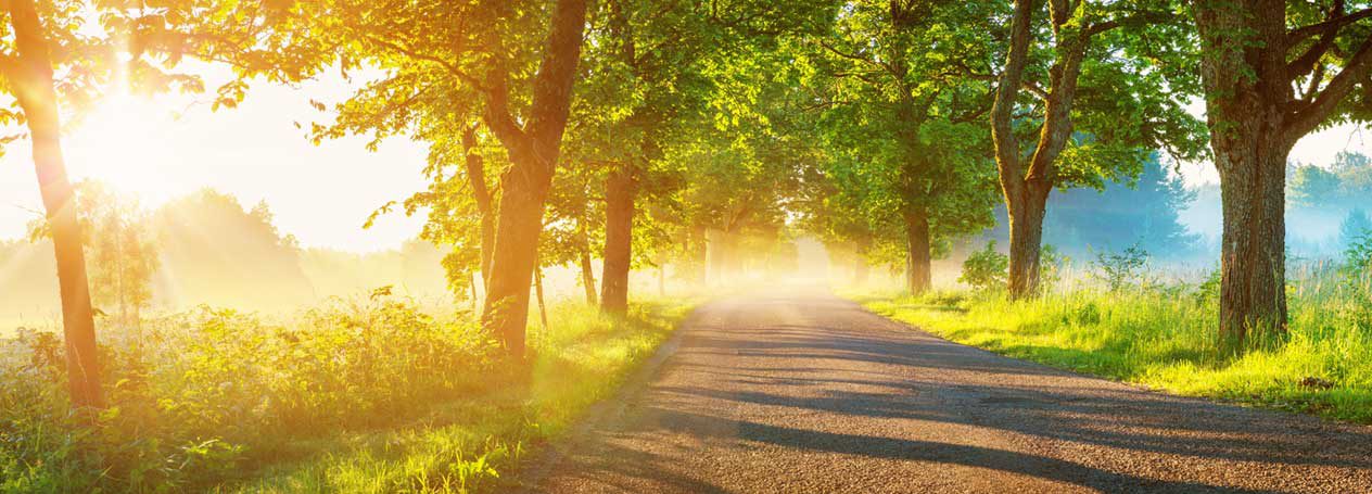 bagger-struwe-umweltbewusst